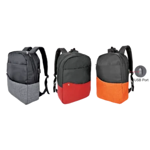 Laptop Back Pack(Fully Padded Bag) (LT3549)