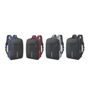 Laptop Back Pack (Fully Padded Bag) (LT3051)