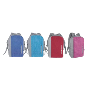 Back Pack (BP3729)